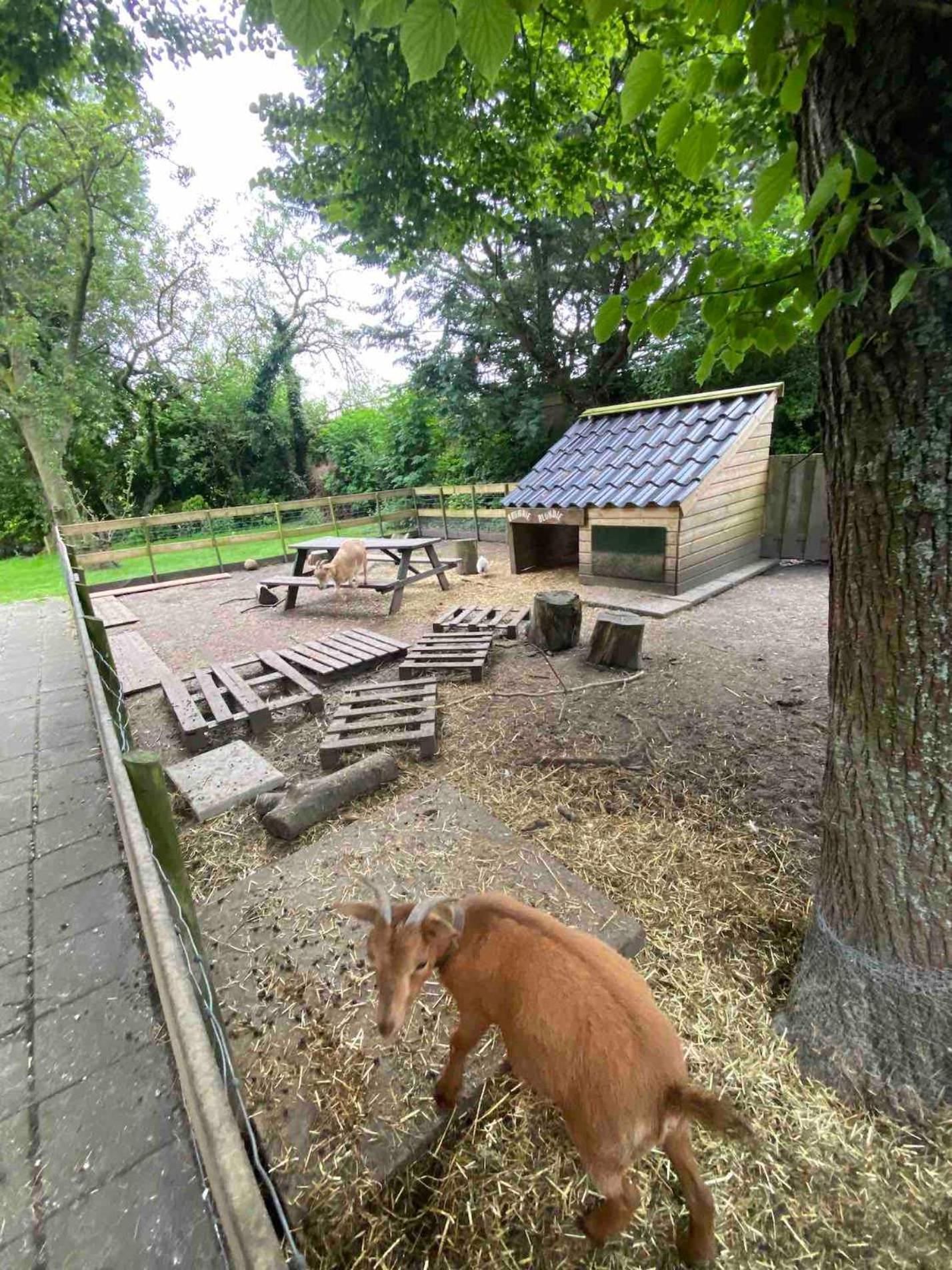 La Luna - Gino Heerhugowaard Exterior photo